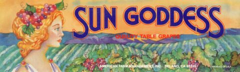 Sun Goddess
